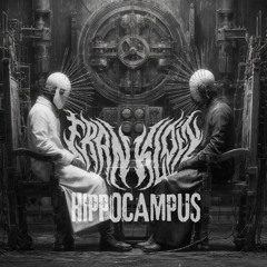 FRANKLOIN - HIPPOCAMPUS (DDL OR SUPPORT)