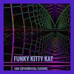 Funky Kitty Kat