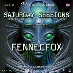 Saturday Sessions Profoundradio Guest Mix FennecFox