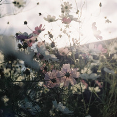 Напиши письмо (prod. by kuromee)