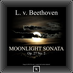 II. Allegretto