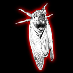 trust my fye (prod. yungvlobesmok)