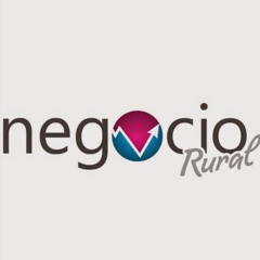 Diversidade, Equidade, Inclusão. Isso é Coop!