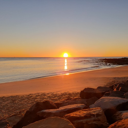 Suncoast Trance 055