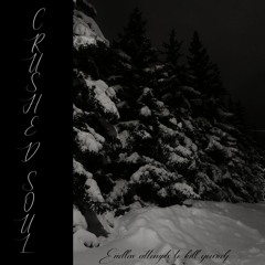 Endless Attempts to Kill Yourself