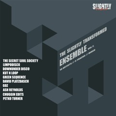 The Slightly Transformed Ensemble 10 Artists 3 Tracks Each (House)