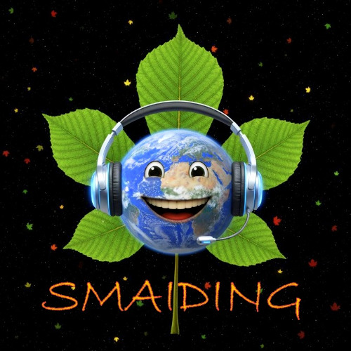 SMAIDING - Don't worry style