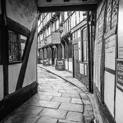 Six Feet from Grandma's House