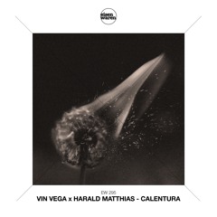 EW 295 Vin Vega x Harald Matthias - Calentura (Extended Mix) Snippet