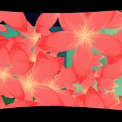 Environmental Soundtrack for 4 Seasons Projections/ Avant Garde 2019