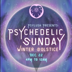 Live @ PsyLush Winter Solstice 2024 - 2024-12-22
