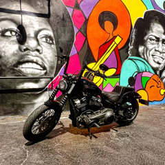 𝐇𝐚𝐫𝐥𝐞𝐲 𝐃𝐚𝐯𝐢𝐝𝐬𝐨𝐧 🏍️ [(𝐕𝐈𝐁𝐄𝐒)]