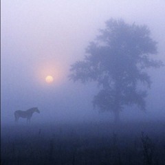 THE LIGHT