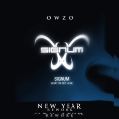 Signum - What Ya Got 4 Me (Owzo's 2021 New Years Rework)