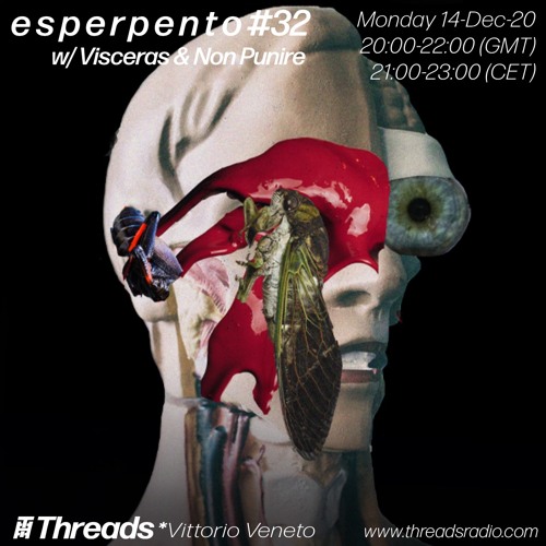 e s p e r p e n t o #32 // VISCERAS & NON PUNIRE