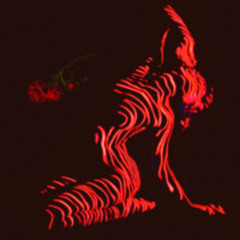 Burning Rose