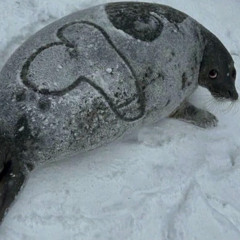 Bootleg Soda - 2025 (Sampler)