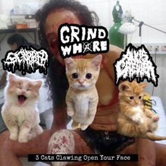 Urges Of Coprophagic Tendancies