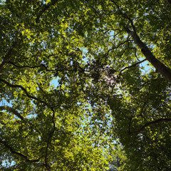 akal iblsn ⴰⴽⴰⵍ ⵉⴱⵍⵙⵏ