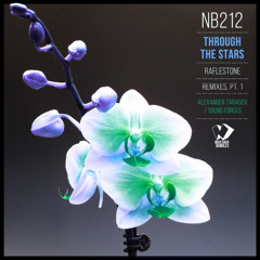 RafleSTone - Through the Stars (Alexander Tarasov Remix)