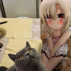 my research paper due in 1 minute and 41 seconds