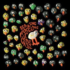 Guns Drugs And 800 Parrots