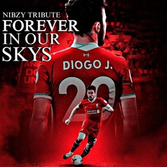 Nibzy - Forever In Our Skys ( Tribute )