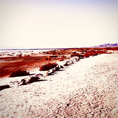 COWPUNK (Greyhound Baby_DEMO Ft. Katy Krashout)