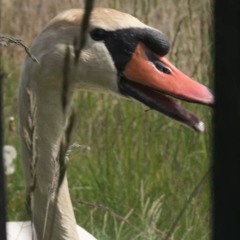 Diss na ubóstwo (prod. Kes-a)