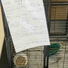 do I ever cross ur mind