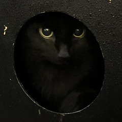 Wrayoghkeetchagkyao - 1/9/25, 9.33 PM.wav