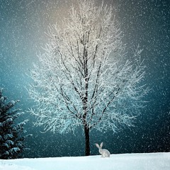 Under The Tree