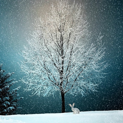 Under The Tree