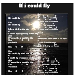 If i could fly