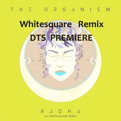 The Organism - Radha (Whitesquare Remix)