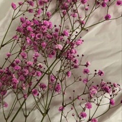 STOP WHIT IT (La La La La)