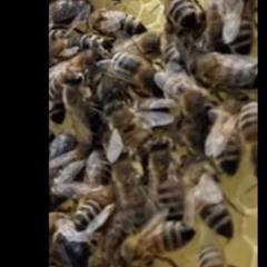 DONT TOUCH MY PIZZA AGGRESSIVE PHONK REMIX