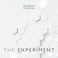 The Experiment