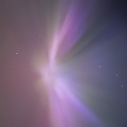 fallen angels by chris grey