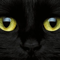 Superstition - Stevie Wonder (cover)