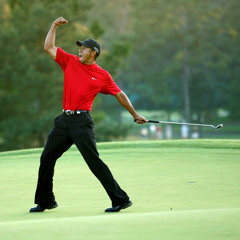 tiger woods prod hecto