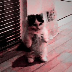 "If anyone wants to follow me he must pick up his cross" x Her favorite part