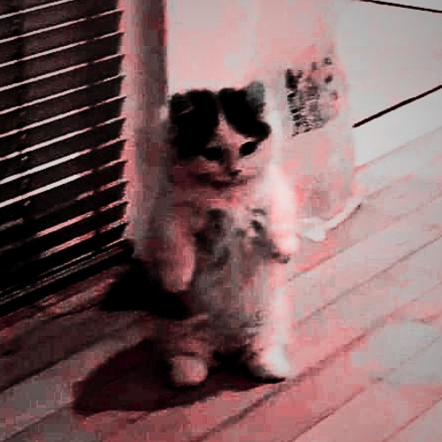 "If anyone wants to follow me he must pick up his cross" x Her favorite part