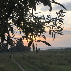 RXLZQ - Breath Of Fire