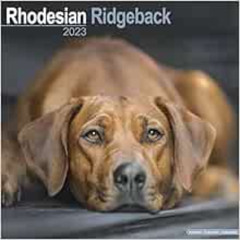 VIEW PDF 🖋️ Rhodesian Ridgeback Calendar - Dog Breed Calendars - 2022 - 2023 wall ca