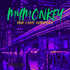 MYMONKEY - DRUM & BASS INSTRUMENTAL DJ (8)