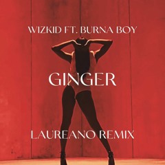 Wizkid Ft. Burna Boy – Ginger (Laureano Remix)