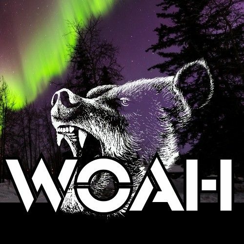 The Bear Den Vol.1