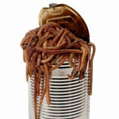 Can Of Worms - (Beat Only)