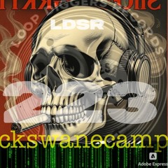 LDSR 223 - ckswanecamp